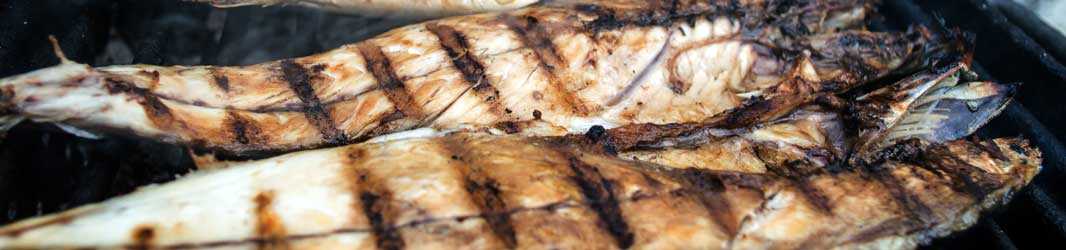 Fisch-Spezialitäten